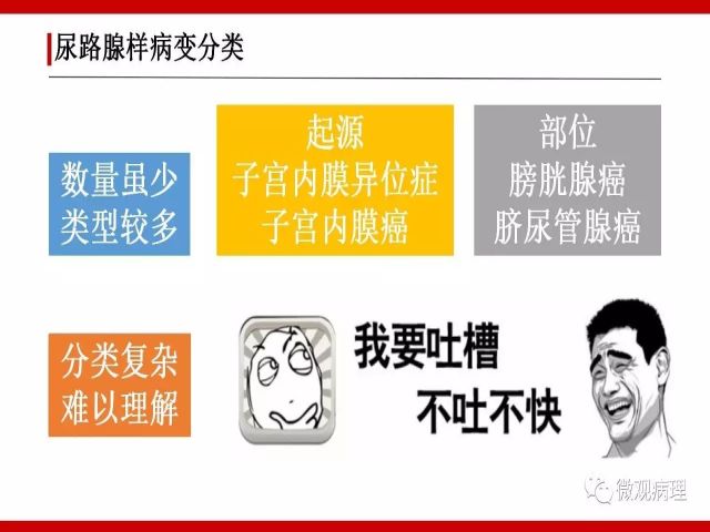 泌尿课程/尿路腺样病变的诊断要点
