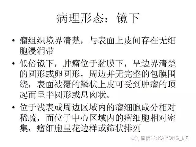 女性生殖道软组织肿瘤病理诊断及进展（一）