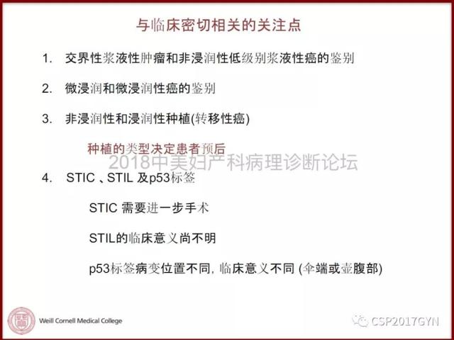 非粘液性卵巢肿瘤的诊断挑战