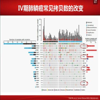 如何优化肺鳞癌的治疗