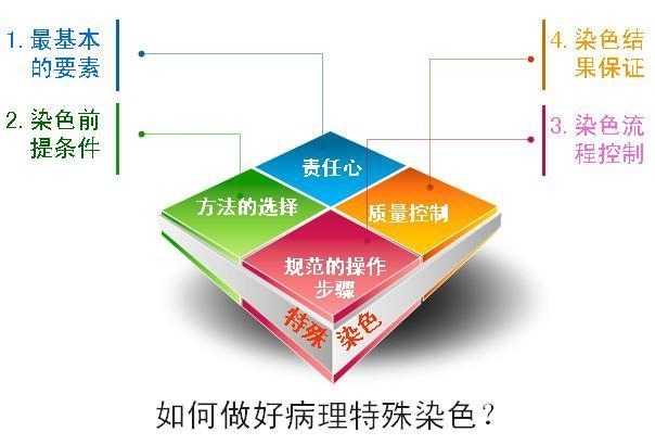 特殊染色室内质量控制