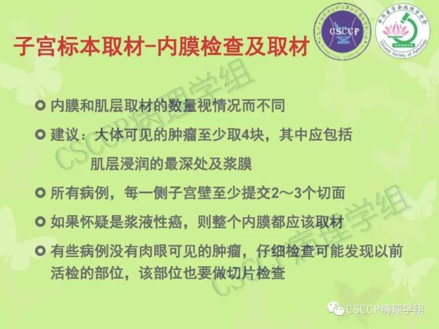 宫颈与子宫病变病理标本取材