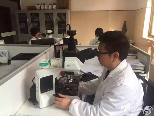 中国最缺的医生，也是医生的医生：病理医生