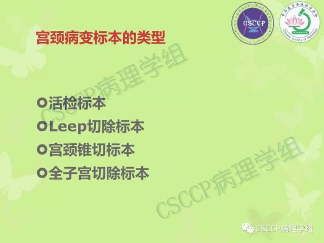 宫颈与子宫病变病理标本取材