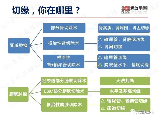 泌尿系统常见肿瘤标本病理报告规范