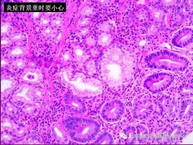 640x480.jpg