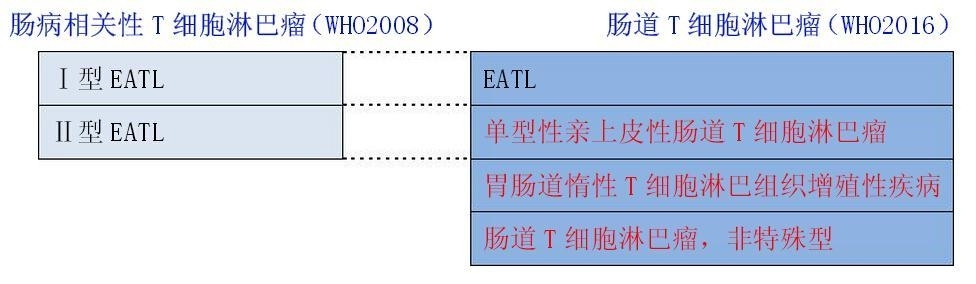 转载文章---2016年版WHO 淋巴瘤分类更新要点