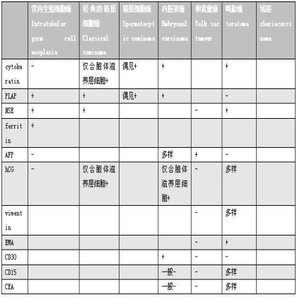 睾丸生殖细胞肿瘤