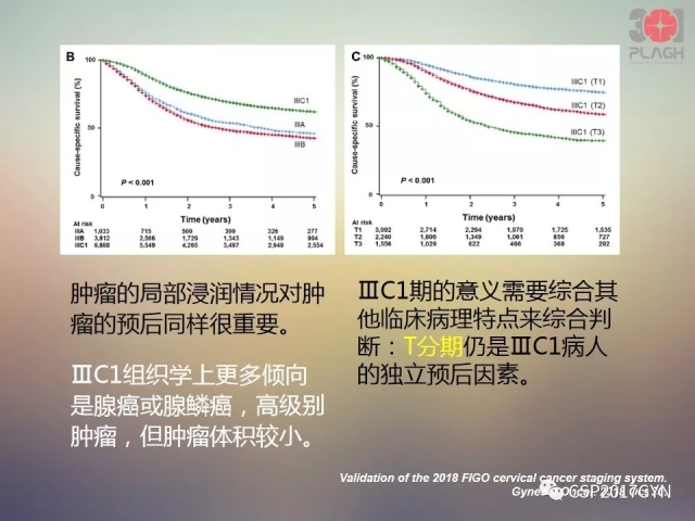 宫颈腺癌的临床病理研究进展