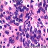 2012-06-06