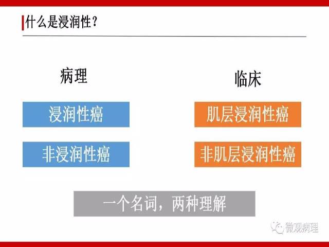 泌尿课程/浸润性尿路上皮癌病理学类型