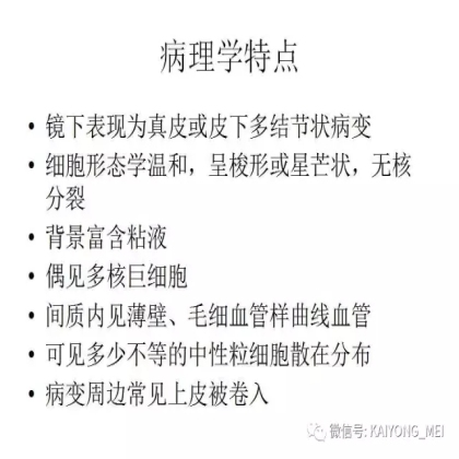 女性生殖道软组织肿瘤病理诊断及进展（二）