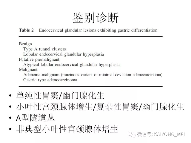 宫颈腺性病变的病理诊断及进展（一）