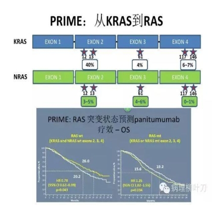 肿瘤精确医疗与分子病理检测