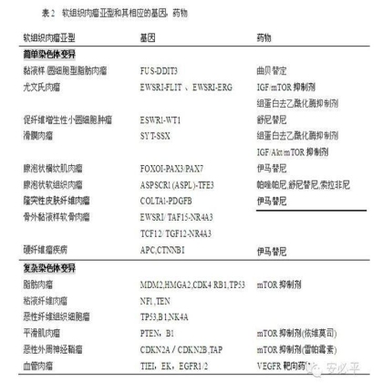 软组织肉瘤辅助诊断方法——FISH探针系列