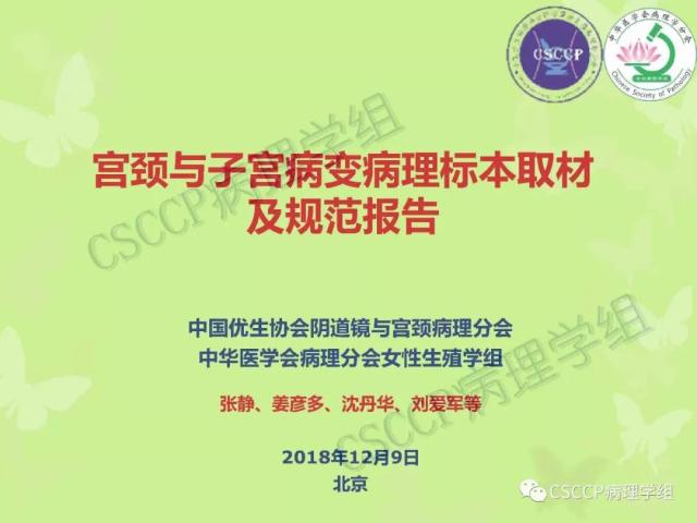 宫颈与子宫病变病理标本取材