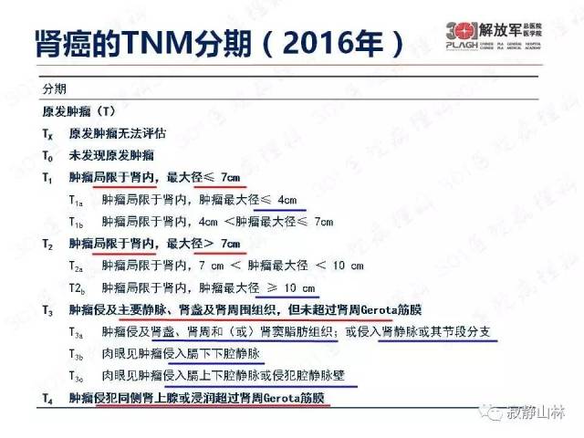 泌尿系统常见肿瘤标本病理报告规范