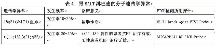 B细胞淋巴瘤病理小科普