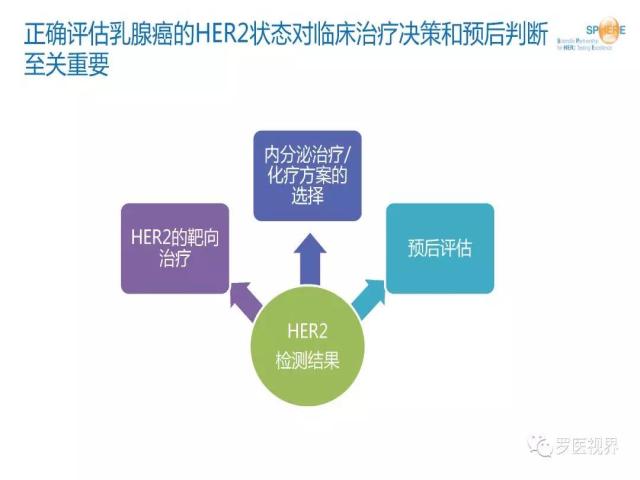 2018 ASCO/CAP乳腺癌HER2检测指南更新解读