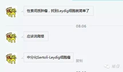 低分化支持－间质细胞瘤（ 戴敏病例分享，群友讨论，刘从容老师讲解）