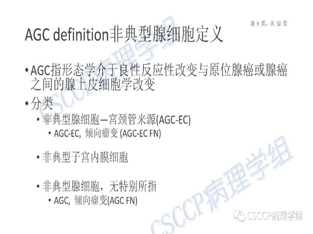 Atypical glandular cells: Recent Advances 非典型腺细胞新进展