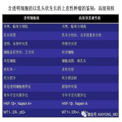 卵巢癌的病理诊断新进展（三）