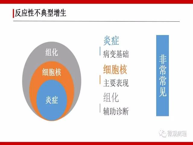 泌尿课程/非浸润性尿路上皮病变诊断的一些困惑
