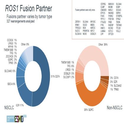 Genomic profiling of 114,200 advanced cancers identifies recurrent kinase domain duplications (KDD)