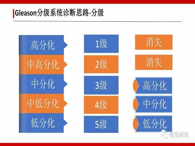 前列腺癌Gleason分级系统的前世今生