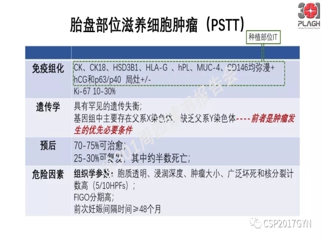 中间型滋养细胞肿瘤的诊断及鉴别诊断
