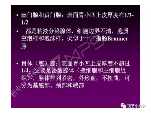 上消化道早癌病理的学习心得体会（附胃牵手癌的病例特点文献学习）