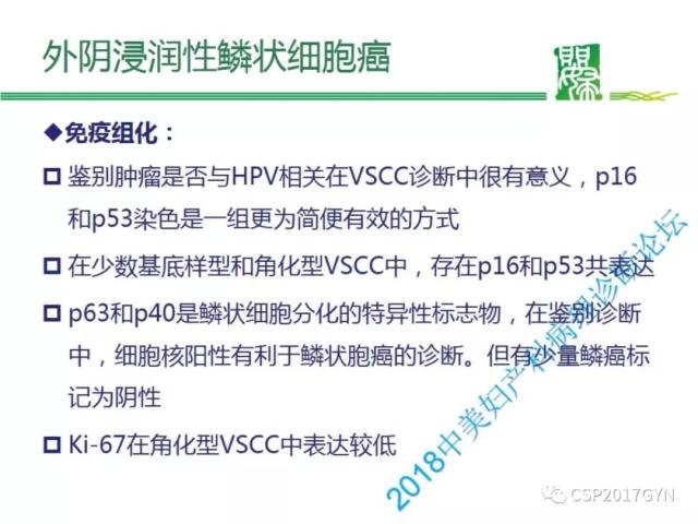 非HPV相关的外阴鳞状细胞肿瘤