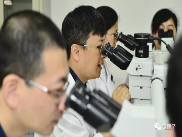 肿瘤还是囊肿?恶性还是良性?他们说了算!这群“幕后高手”,你未必了解…… 肿瘤还是囊肿?恶性还是良性?他们说了算!这群“幕后高手”,你未必了解……