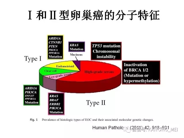 卵巢癌的病理诊断新进展（一）