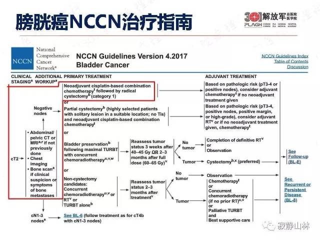 泌尿系统常见肿瘤标本病理报告规范