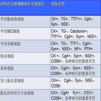 免疫组化结果的分析和常见问题的处理