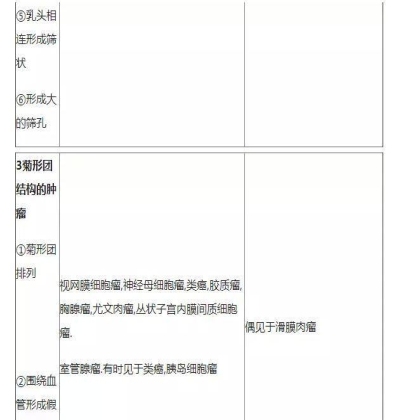 肿瘤病理学分类大全