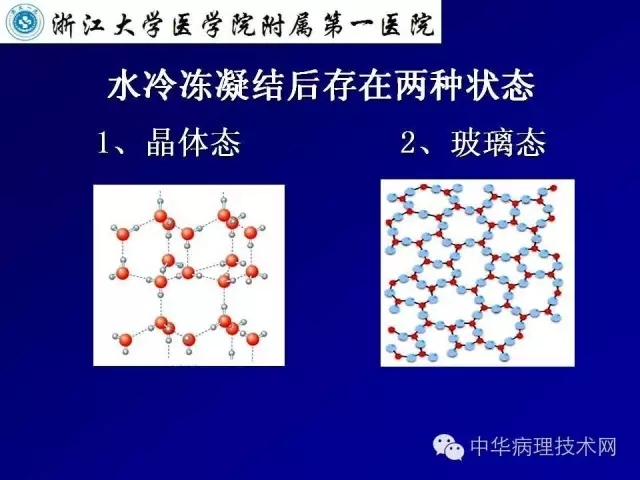 冰冻切片报告注意事项