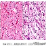 2012-04-07
