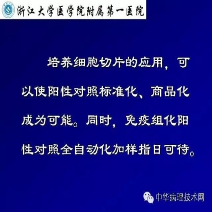 免疫组化液态阳性对照