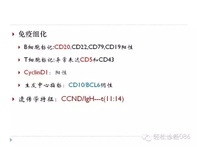 关于套细胞淋巴瘤的总结课件