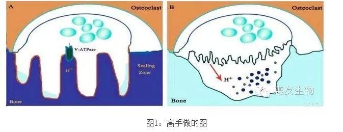 懂得如何包装您的实验结果？