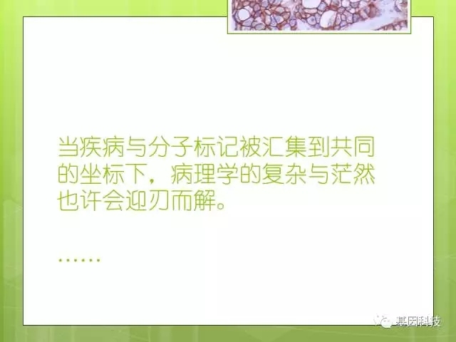 T细胞发育视角下的IHC分子