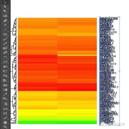 HEAT MAP 相关