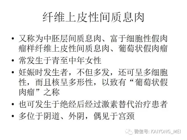 女性生殖道软组织肿瘤病理诊断及进展（一）