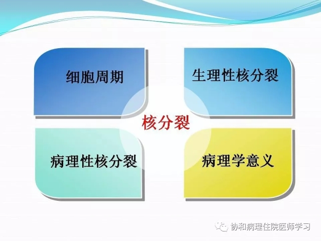 病理学基础知识 : 核分裂像的识别