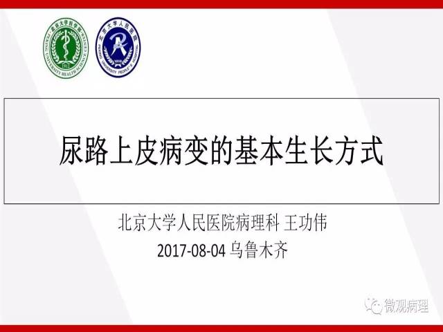 泌尿课程/尿路上皮病变的基本生长方式