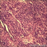 2012-06-06