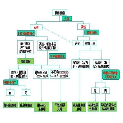 胰腺肿瘤诊断流程