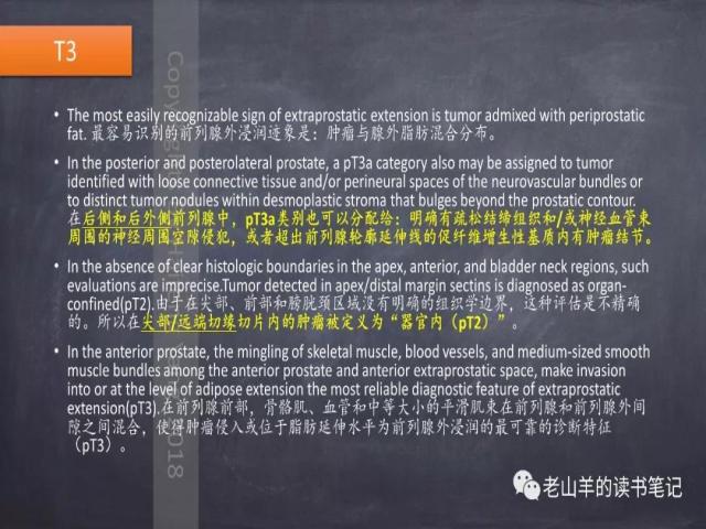 AJCC第8版 前列腺癌分期 之 病理学要点